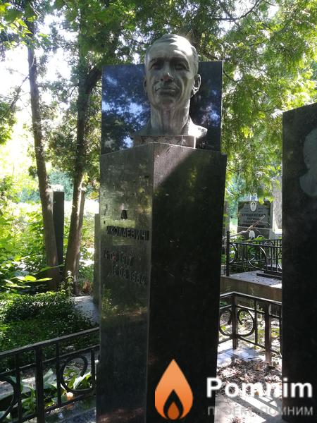 Николаевич