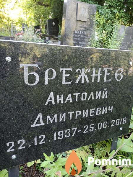 Брежнев Анатолий Дмитриевич