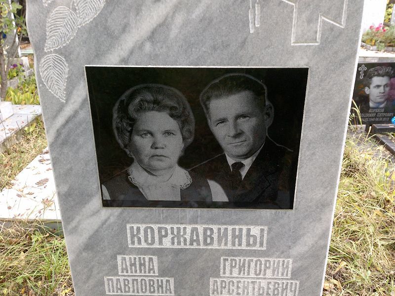Коржавина