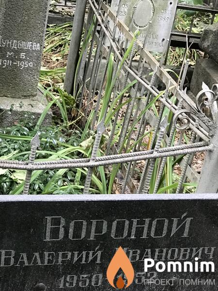 Вороной Валерий Иванович