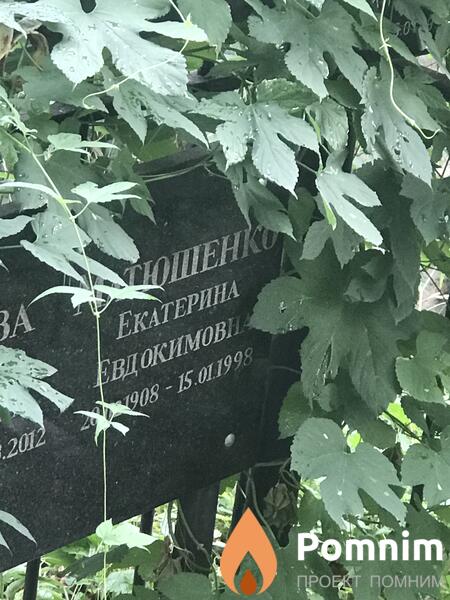 Матюшенко Екатерина Евдокимовна