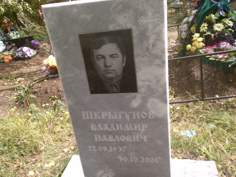 Шкрыгунов