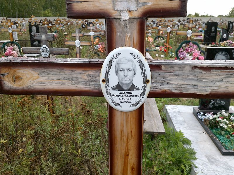 Лежнин
