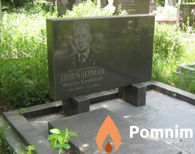 Шнейдерман Михаил Ефимович