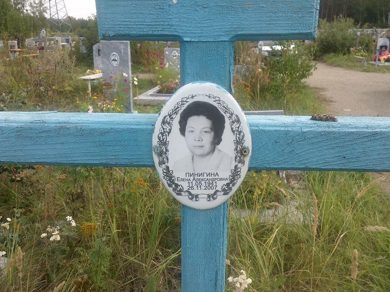 Пинигина