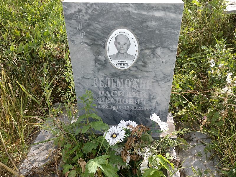 Вельможин