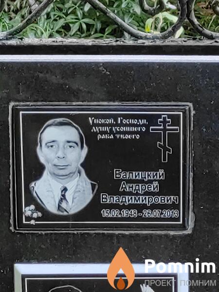 Балицкий Андрей Владимирович