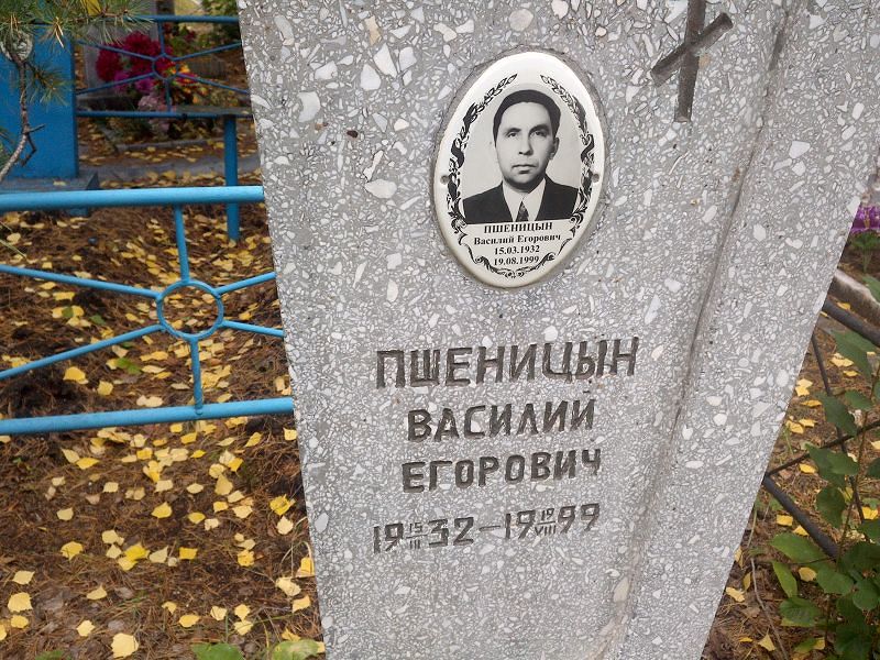 Пшеницын
