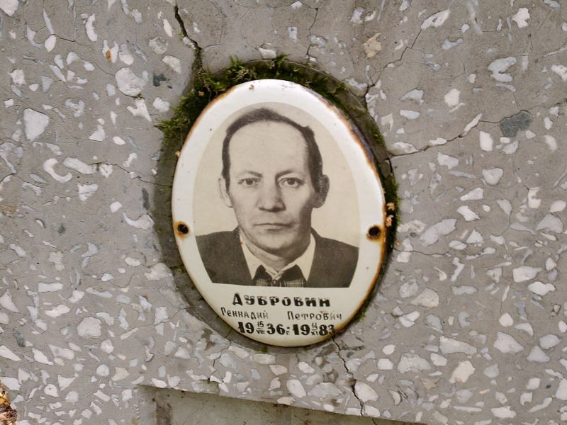 Дубровин