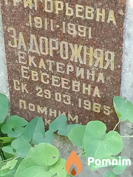 Задорожняя Екатерина Евсеевна