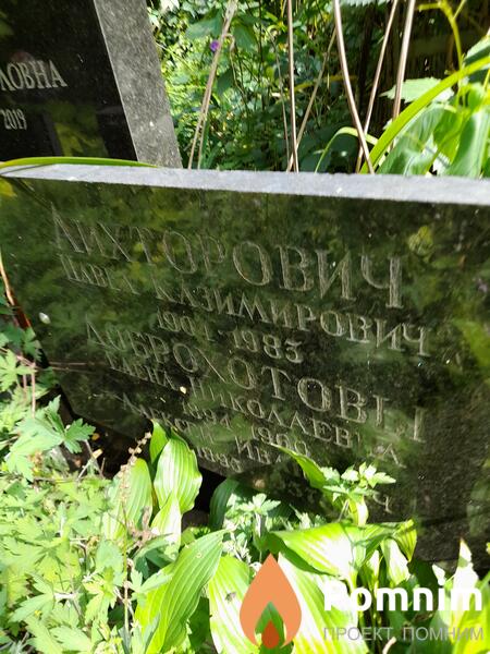 Доброхотова Елена Николаевна