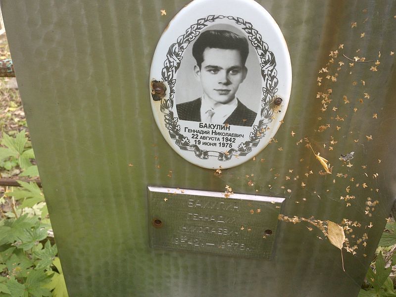 Бакулин
