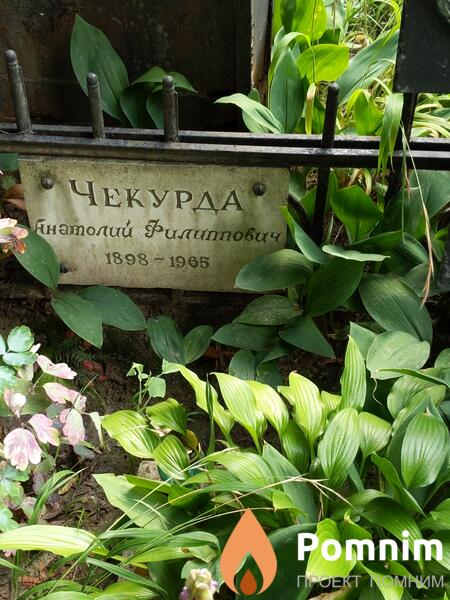 Чекурда Анатолий Филиппович