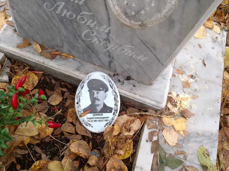 Шевяков