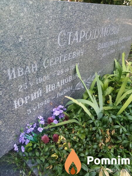 Стародумовы Иван Сергеевич