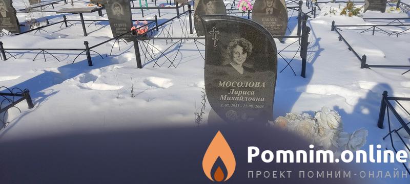 Мосолова Лариса Михайловна