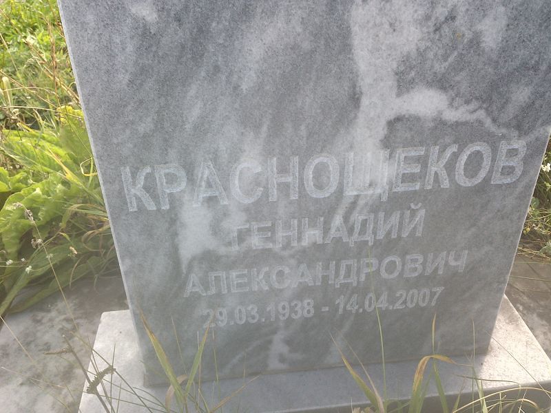 Краснощеков