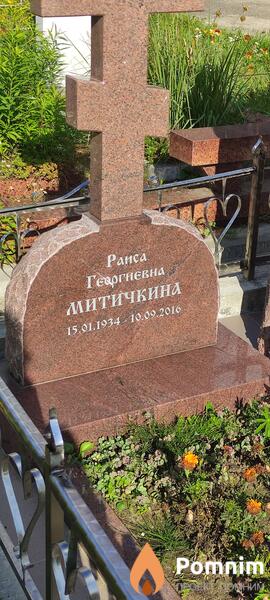 Митичкина Раиса Георгиевна