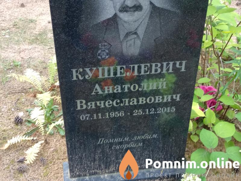 Кушелевич Анатолий Вячеславович