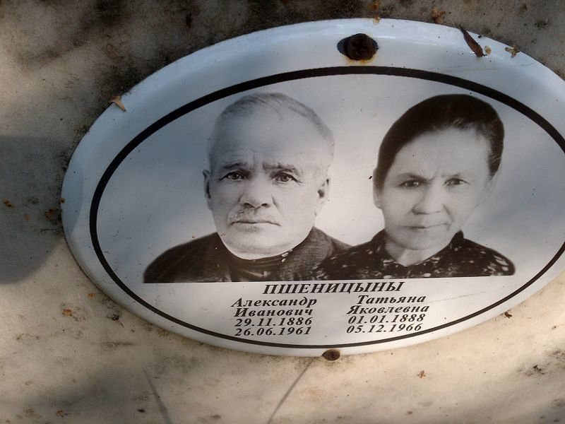 Пшеницын