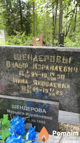 Шендеров Вульф Израилевич