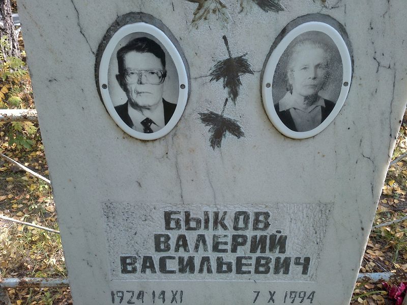 Быков