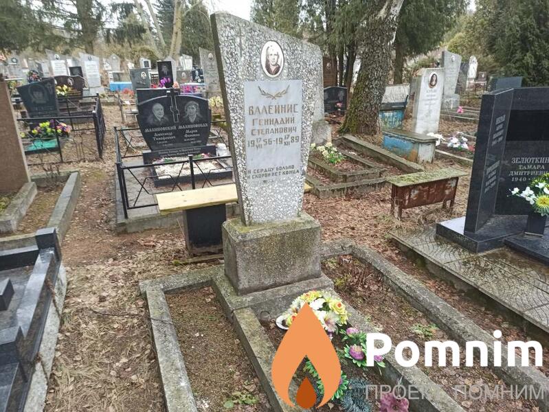 Валейнис Геннадий Степанович