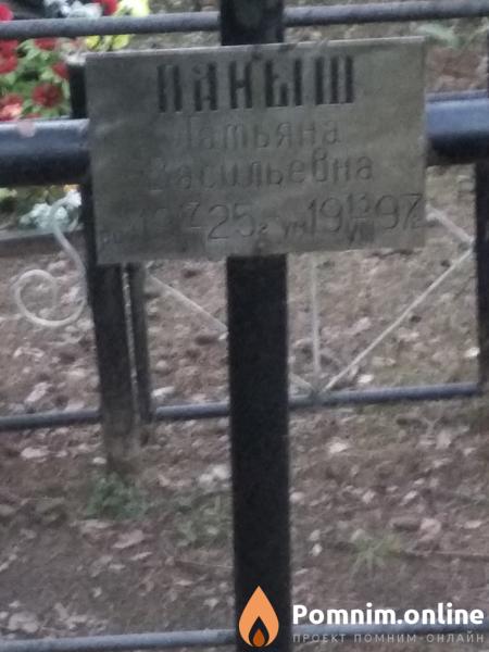 Паныш Татьяна Васильевна