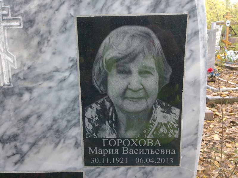 Горохова