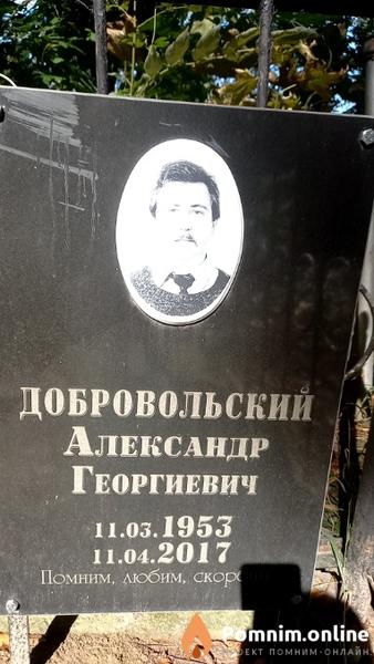 Добровольский Александр Георгиевич