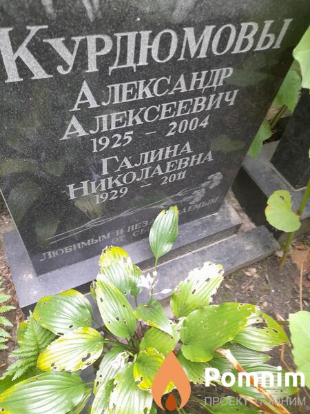 Курдюмова Галина Николаевна