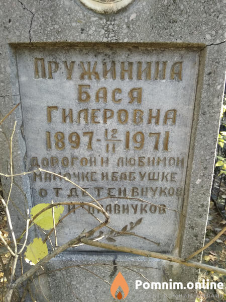 Пружинина Бася Гилеровна