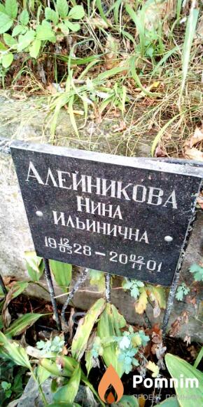 Алейникова Нина Ильинична