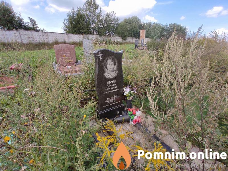 Здрок Евгения Ефимовна