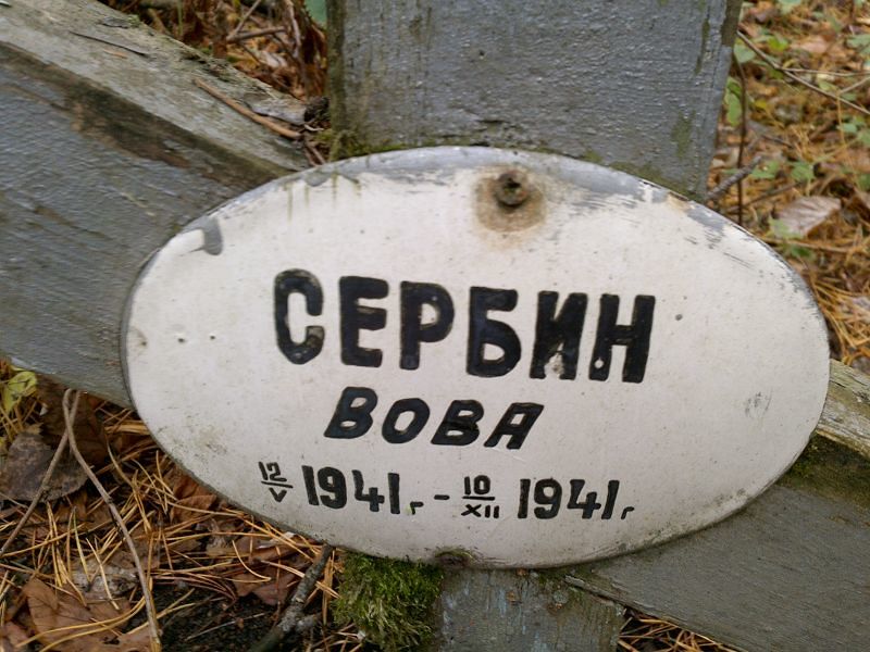 Вова Сербин
