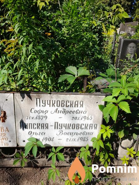 Липскаяпучковская Ольга Васильевна