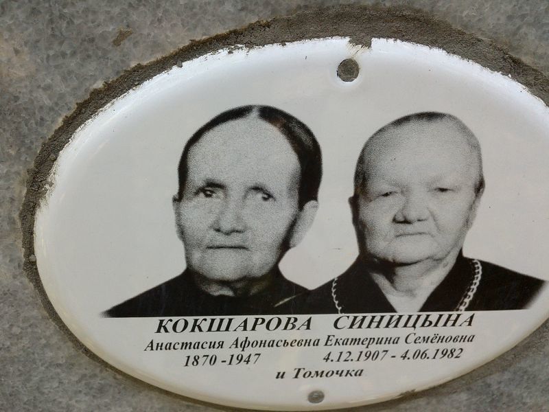 Синицина