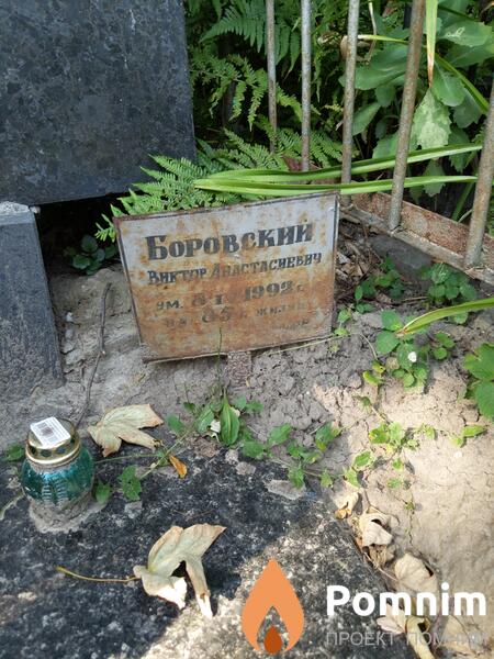 Боровский Виктор Анастасиевич