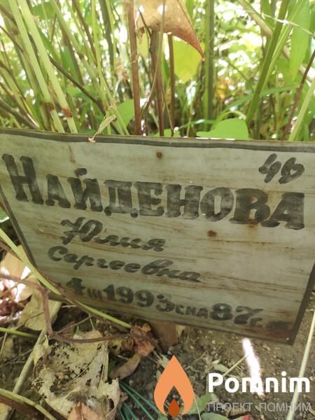 Найдёнова Юлия Сергеевна