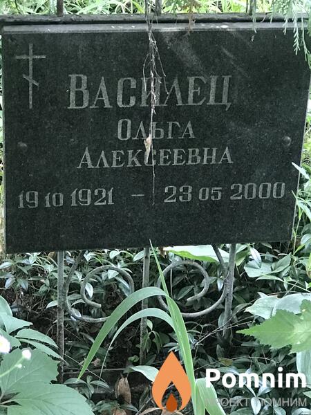 Василец Ольга Алексеевна
