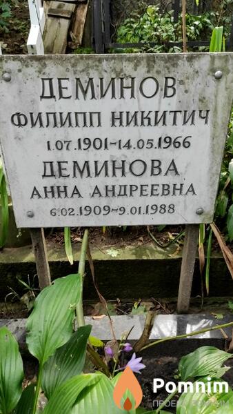 Деминова Анна Андреевна