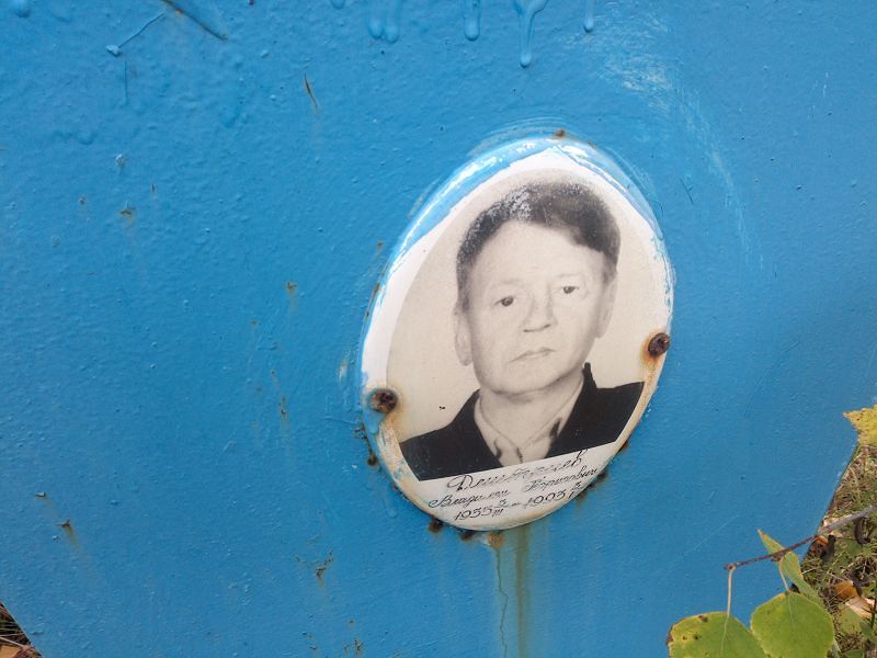 Владилен Дмитриев Борисович