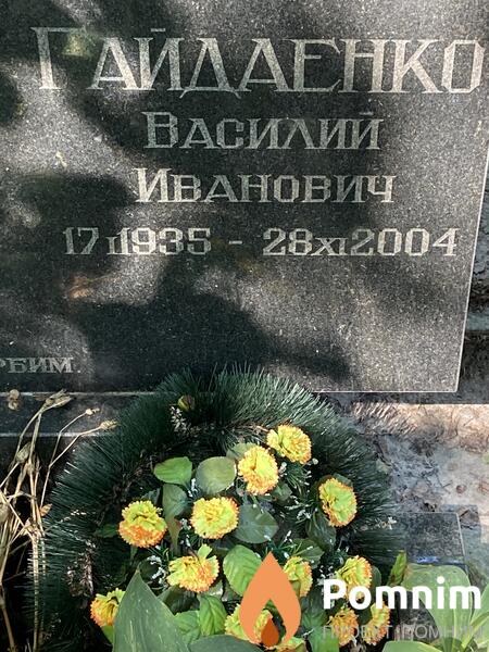 Гайденко Василий Иванович