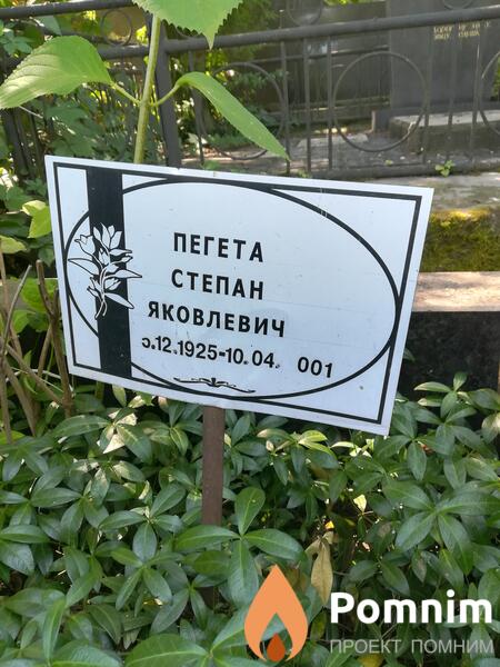 Пегета Степан Яковлевич