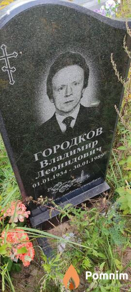Городков Владимир Леонидович