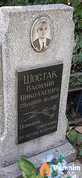 Шостак Василий Николаевич