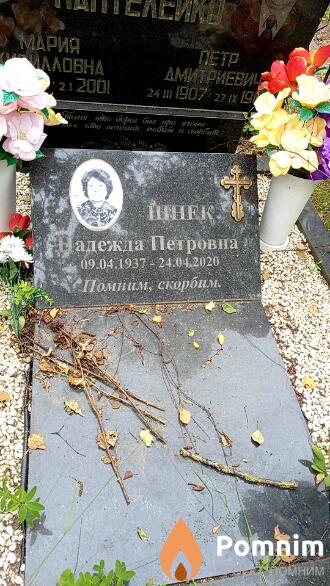 Шнек Надежда Петровна