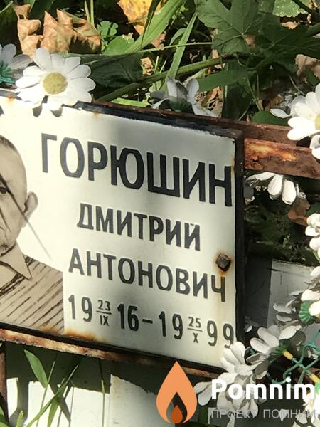 Горюшин Дмитрий Антонович