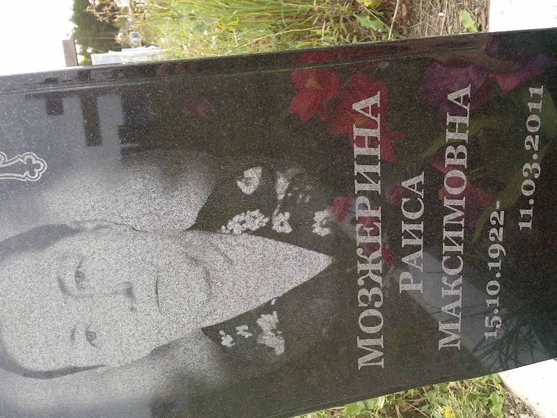 Мозжерина