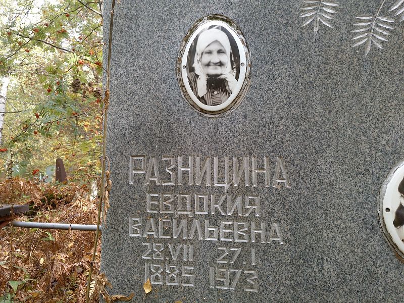 Разницина